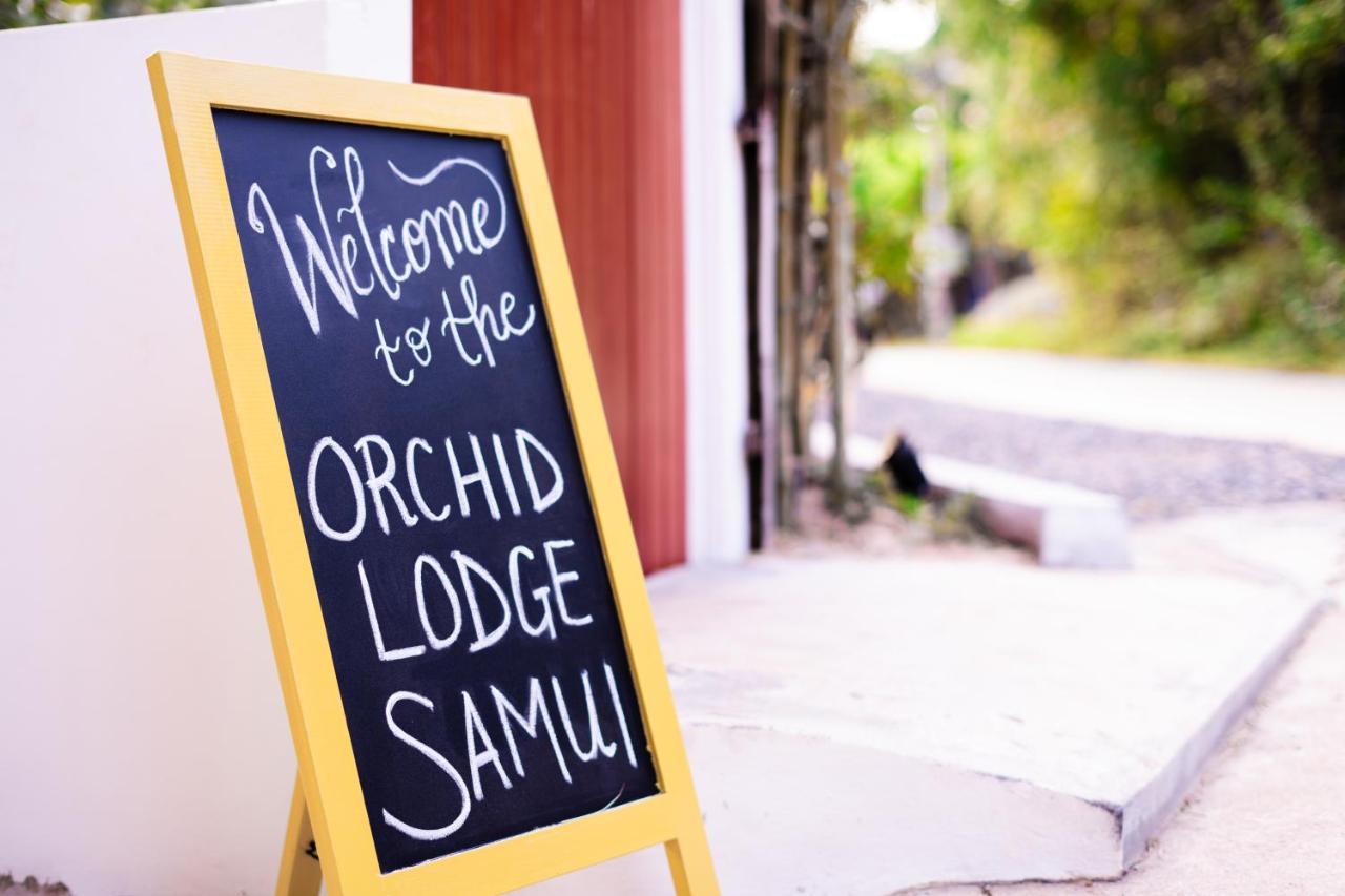 Orchid Lodge Samui - Bed & Breakfast 拉迈海滩 外观 照片