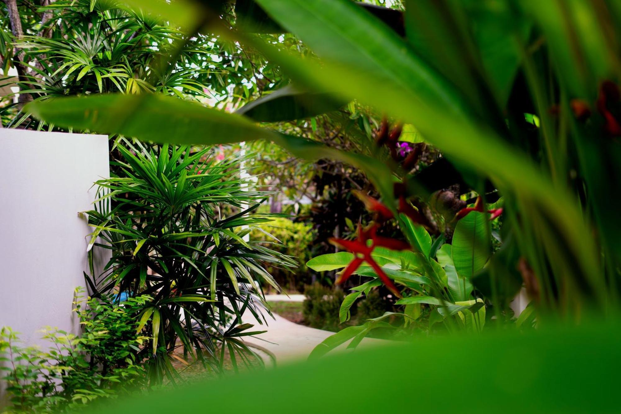 Orchid Lodge Samui - Bed & Breakfast 拉迈海滩 外观 照片