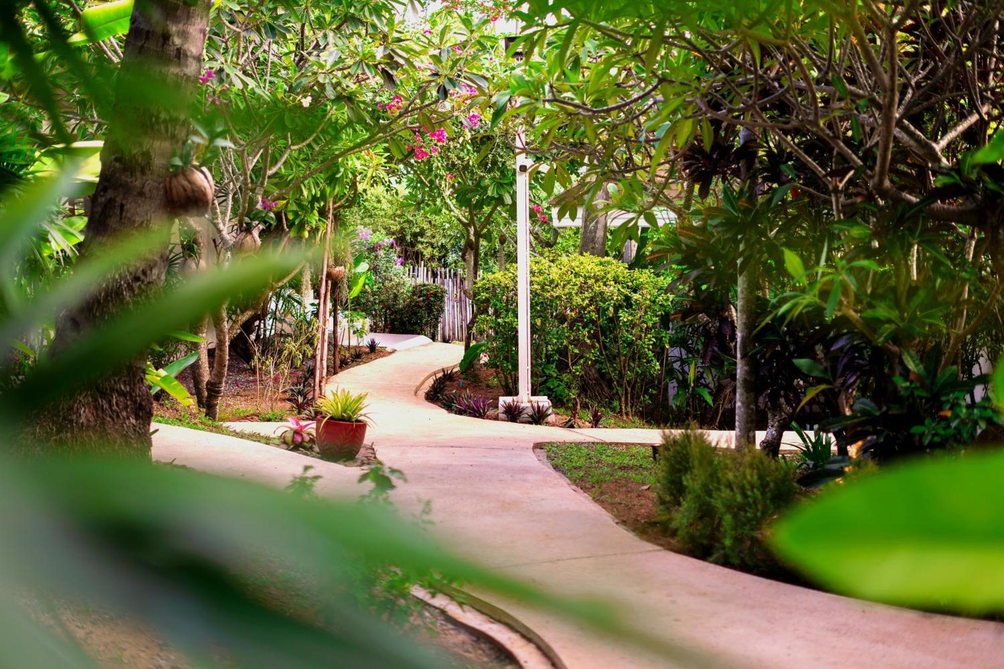Orchid Lodge Samui - Bed & Breakfast 拉迈海滩 外观 照片