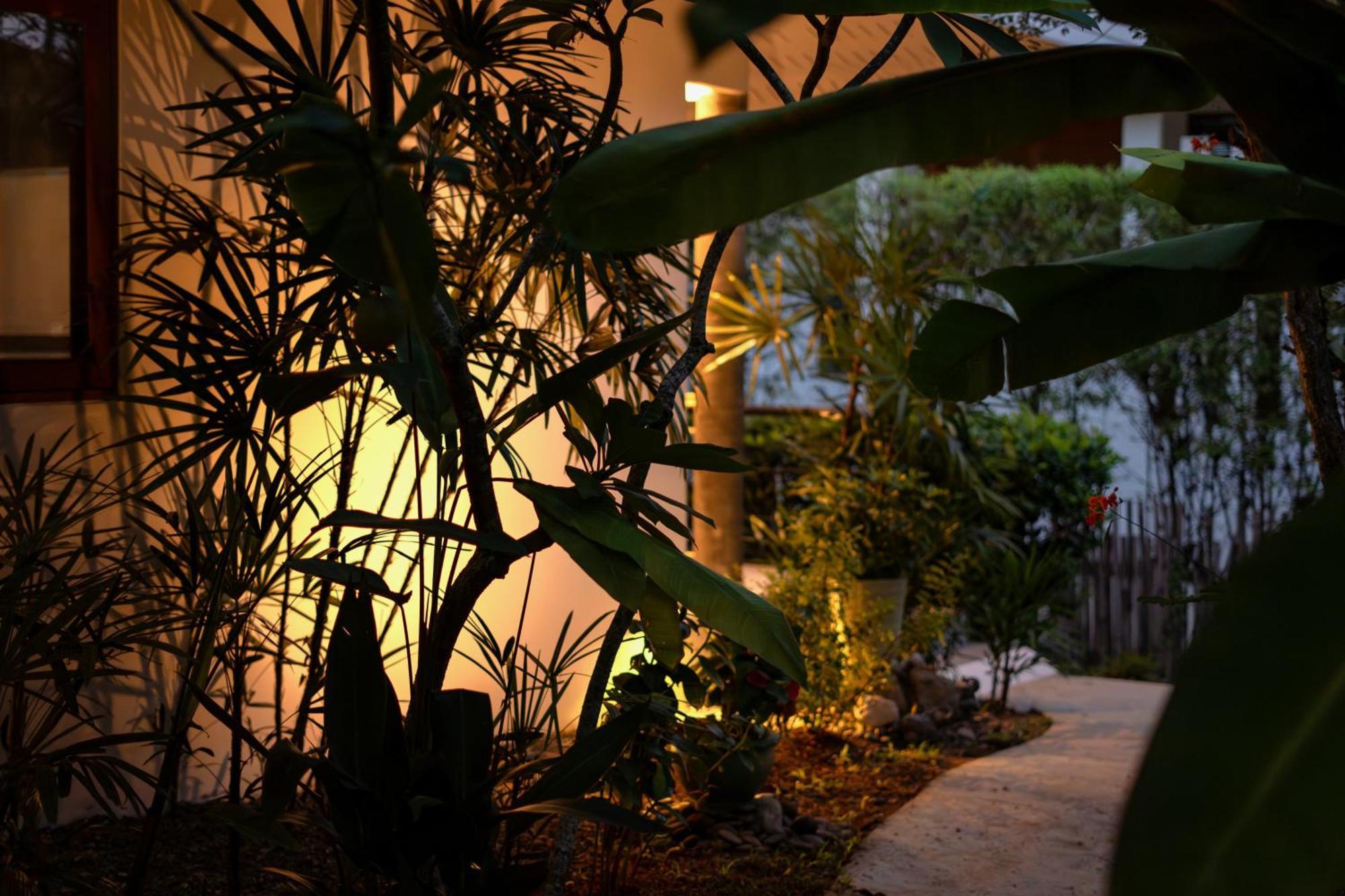 Orchid Lodge Samui - Bed & Breakfast 拉迈海滩 客房 照片